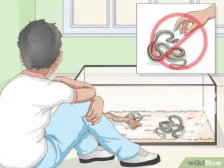 Image titled Tame Snakes Step 1