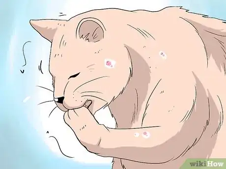 Image titled Deal with Hair Loss in Cats Step 1