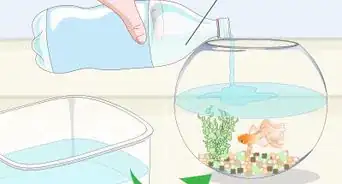 Clean a Fish Bowl