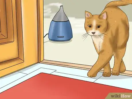 Image titled Calm Your Cat with Aromatherapy Step 17