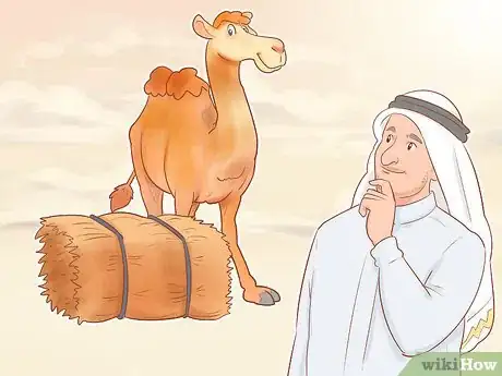 Image titled Buy a Camel Step 1