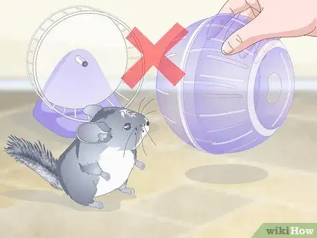Image titled Care for Chinchillas Step 20