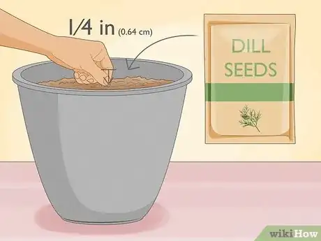 Image titled Grow Dill Indoors Step 3