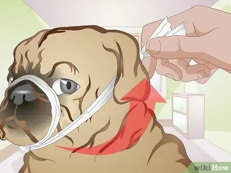 Image titled Apply a Gauze Muzzle to a Dog Step 11