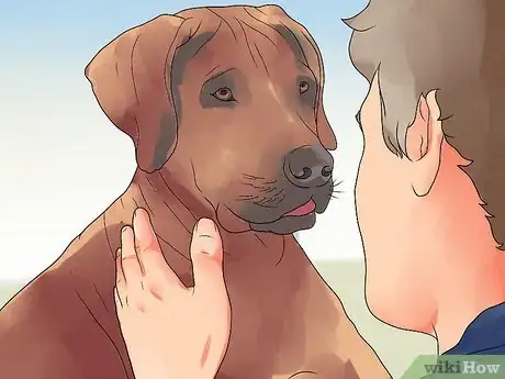 Image titled Recognize Bloat in Dogs Step 13