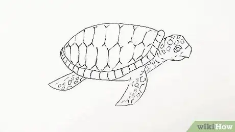 Image titled Draw a Turtle Step 17