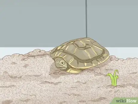 Image titled Care for a Red Eared Slider Turtle Step 14