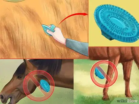 Image titled Use a Curry Comb on a Horse Step 1