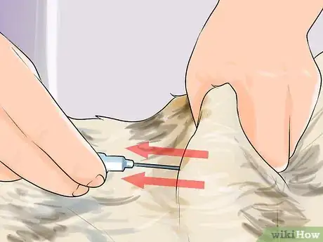 Image titled Give Subcutaneous Fluids to a Cat Step 15