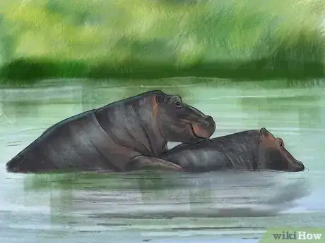 Image titled Deal With a Hippo Encounter Step 9
