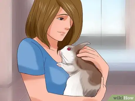 Image titled Play With Your Rabbit Step 1