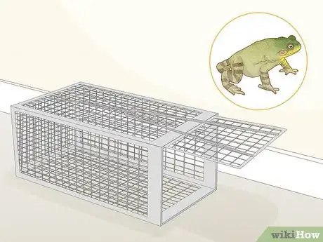 Image titled Get Rid of Frogs Step 16