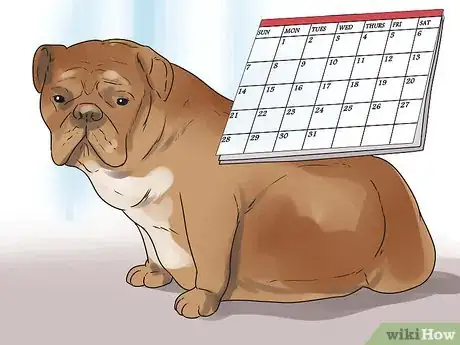 Image titled Help Your Dog Whelp or Deliver Puppies Step 3