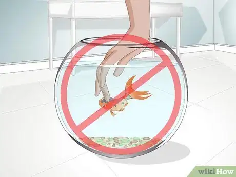 Image titled Play With a Goldfish Step 15