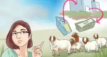 Start a Goat Farm