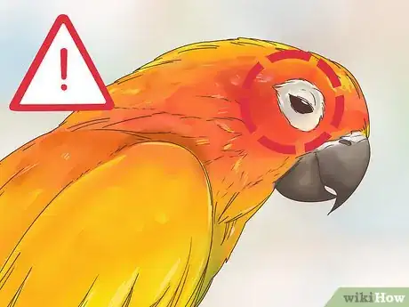Image titled Spot Signs of Disease in Conures Step 2