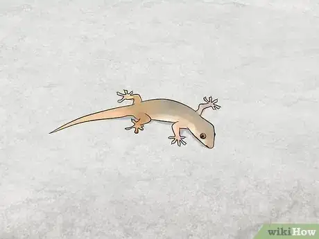 Image titled Catch a Lizard Step 7