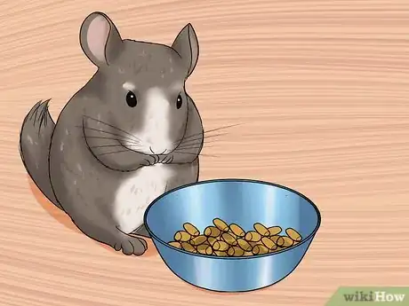 Image titled Tame Your Chinchilla Step 12