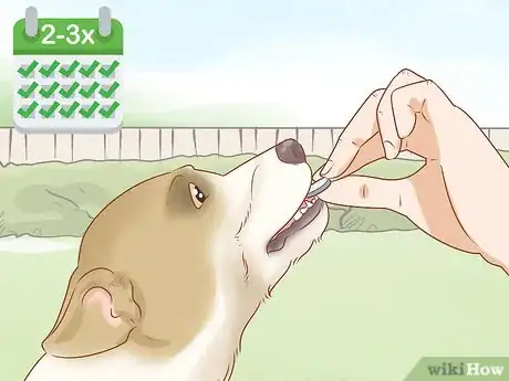 Image titled Determine Benadryl Dosage for Dogs Step 3