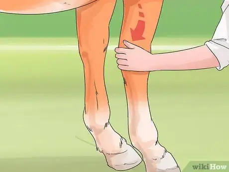 Image titled Teach Your Horse to Pick Up a Hoof Step 15