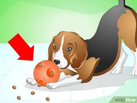 Image titled Get Your Dog to Eat the Dog Food It Does Not Like Step 7