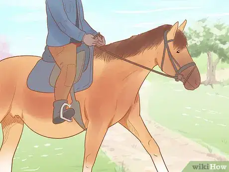 Image titled Care for a Pregnant Mare Step 14