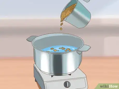 Image titled Cook or Boil Whole Grains for Horses Step 6