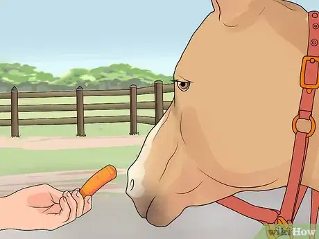 Image titled Feed a Horse Carrots Step 3