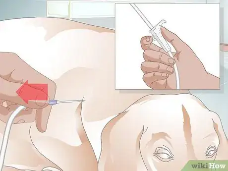 Image titled Administer Subcutaneous Fluids to a Dog Step 16