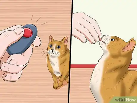 Image titled Train Your Cat to Listen Step 5