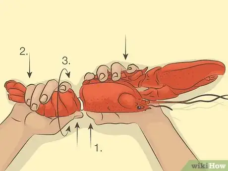 Image titled Open a Lobster Step 1