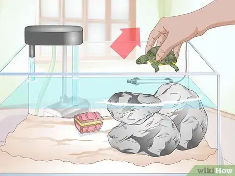Image titled Clean a Turtle Tank Step 1