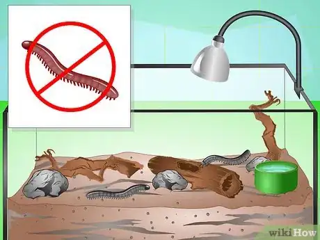 Image titled Make a Millipede Habitat Step 6