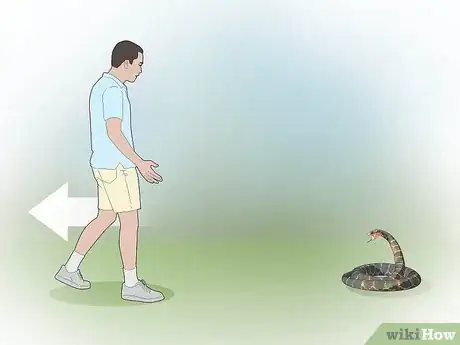Image titled Survive Being Bitten by a Venomous Snake Step 1