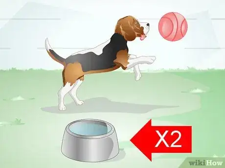 Image titled Get a Sick Dog to Drink Step 3