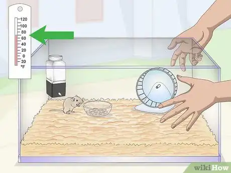 Image titled Make an Aquarium Into a Gerbil Cage Step 9