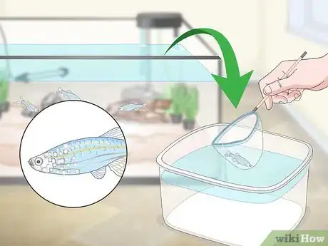 Image titled Take Care of Your Fish Step 19