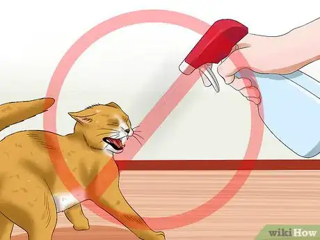 Image titled Train Your Cat to Listen Step 9