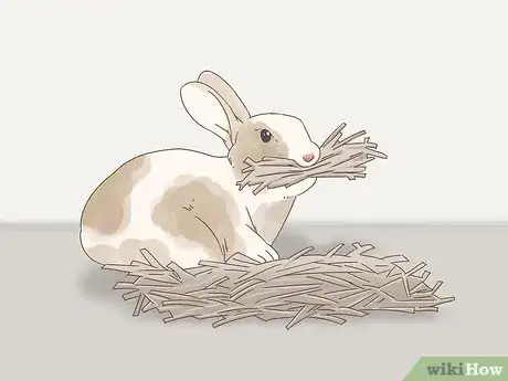Image titled Know if Your Rabbit is Pregnant Step 7