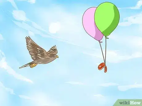 Image titled Train Your First Falcon Step 11