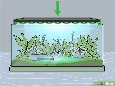 Image titled Grow Freshwater Aquarium Plants Step 6