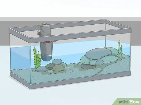 Image titled Care for a Red Eared Slider Turtle Step 10