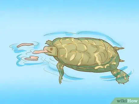 Image titled Take Care of Baby Water Turtles Step 14
