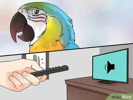 Image titled Train Parrots to Make Less Noise Step 9