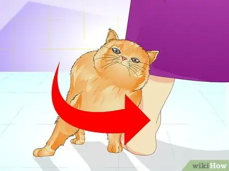Image titled Tell if a Cat Is Spayed Step 7