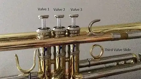 Image titled Trumpet_jp