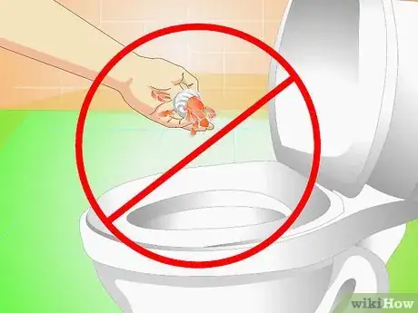Image titled Know when Your Hermit Crab Is Dead Step 12