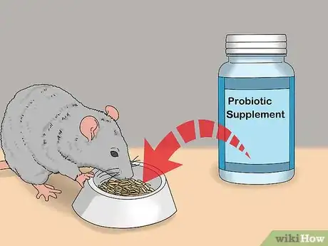 Image titled Treat Diarrhea in Rats Step 11