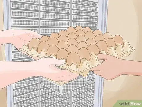 Image titled Hatch Chicken Eggs Step 1