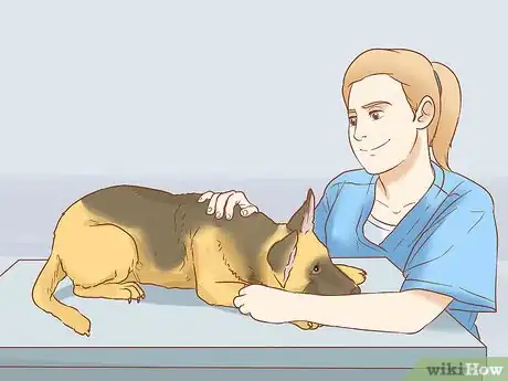Image titled Stop a Dog from Urinating Inside After Going Outside Step 11